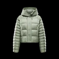 Nike Sportswear Swoosh Puffer PrimaLoft® жіноча Therma-FIT оверсайз Hooded Куртка колір зелений
