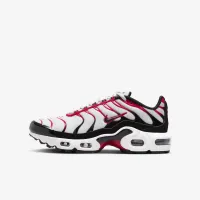 Nike Air Max Plus Big детские Кроссовки цвет серый
