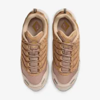 Nike Air Terra Humara SP чоловічі Кросівки колір коричневий