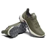 Кроссовки Мужские SALOMON ALPHACROSS 3 GTX Gore-TEX (413595)