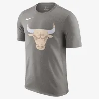 Chicago Bulls Essential City Edition чоловічі Nike NBA футболка колір сірий