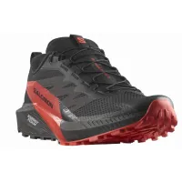 Кросівки для бігу Чоловічі Salomon SENSE RIDE 5 (472143)