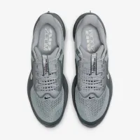 Nike Pegasus Premium мужские Road Running Кроссовки цвет серый