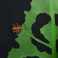 Nike ACG мужские Long-Sleeve футболка цвет черный
