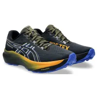Кроссовки для бега Мужские ASICS GT-2000 14 GTX (1011C058 001)