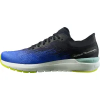 Кроссовки для бега Мужские Salomon SONIC ACCELERATE 4 (413028)