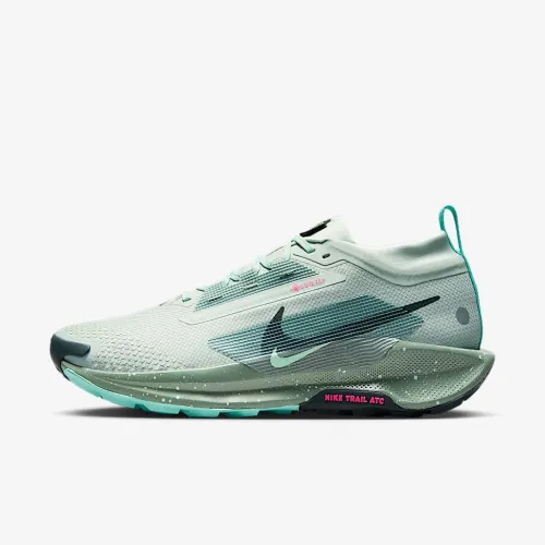 Nike Pegasus Trail 5 GORE-TEX мужские Waterproof Trail Running Кроссовки цвет серый