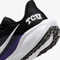 TCU Pegasus 41 чоловічі Nike College Road Running Кросівки колір чорний