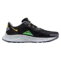 Кроссовки Мужские Nike Pegasus Trail 3 (DA8697 004)