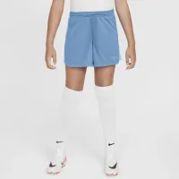 Nike Dri-FIT Academy Big дитячі (Girls') Soccer шорти блакитний
