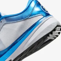 Nike Giannis Freak 5 баскетбольні Кросівки блакитний