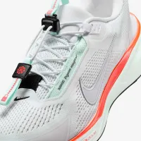 Nike Pegasus EasyOn чоловічі Road Running Кросівки колір білий