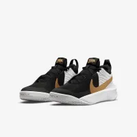 Кросівки Nike Team Hustle D 10                