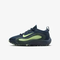 Nike IsoFly Big дитячі баскетбольні Кросівки блакитний