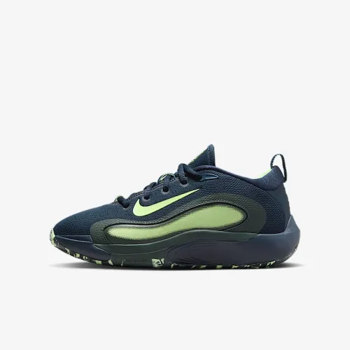 Nike IsoFly Big дитячі баскетбольні Кросівки блакитний