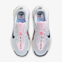 Nike Wildhorse 10 мужские Trail Running Кроссовки цвет серый