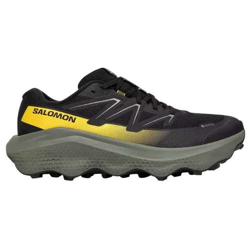 Кроссовки для бега Мужские Salomon ULTRA FLOW 2 GTX Gore-Tex (478832)