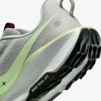 Nike Pegasus Trail 5 мужские Trail Running Кроссовки цвет серый