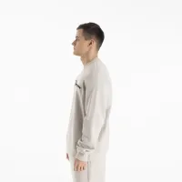 Кофта/футболка Champion Crewneck Icons 220254-ES057 - бежевая