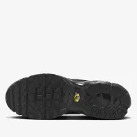 Кроссовки Nike Air Max Plus AJ2029-001 - Черные