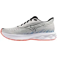 Мужские Кроссовки для бега MIZUNO WAVE SKYRISE 6 (J1GC250906)