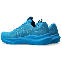 Кросівки для бігу Чоловічі ASICS GT-2000 14 (1011C056 405)