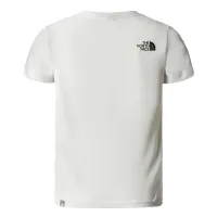 Футболка The North Face Simple Dome 0A82EA9B81 - Серая