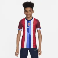 Norway (чоловічі Team) 2024/25 Stadium Home Big дитячі Nike Dri-FIT Soccer Replica Jersey колір червоний