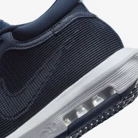 Nike LeBron Witness 8 баскетбольні Кросівки блакитний