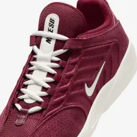 Nike SB Vertebrae мужские Кроссовки цвет красный