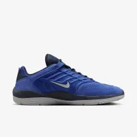 Nike SB Vertebrae чоловічі Кросівки блакитний