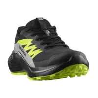 Кроссовки для бега Мужские SALOMON ALPHAGLIDE GTX Gore-Tex (478020)
