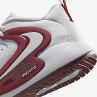 Nike Hyperкомплект 2 Indoor Court Кросівки колір білий