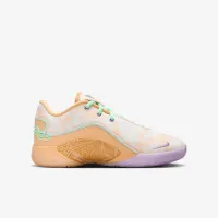 Nike LeBron XXII Big детские баскетбольные Кроссовки цвет коричневый