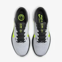 Nike Winflo 10 мужские Road Running Кроссовки цвет серый