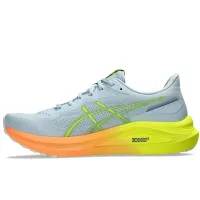 Кроссовки для бега Мужские ASICS GT-1000 13 PARIS (1011B952 750)