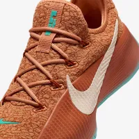 Nike LeBron TR 1 чоловічі для тренування Кросівки колір коричневий