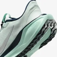 Nike Pegasus EasyOn жіноча Road Running Кросівки блакитний