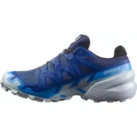 Кроссовки для бега w terenie SALOMON SPEEDCROSS 6 GTX Gore-tex (473020)