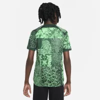 Nigeria 2022/23 Stadium Home Big дитячі Nike Dri-FIT Soccer Jersey колір зелений
