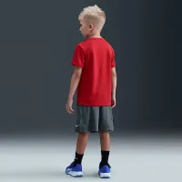 Nike Little детские Dri-FIT Multi Mesh шорты цвет серый