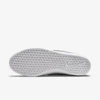 Nike SB Force 58 Skate Shoe блакитний