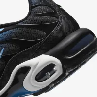 Nike Air Max Plus чоловічі Кросівки блакитний