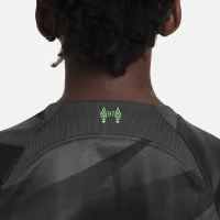 Liverpool FC 2023/24 Stadium Goalkeeper Big детские Nike Dri-FIT Short-Sleeve Soccer Jersey цвет серый