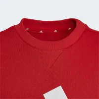 Кофта/футболка adidas Essentials HN1911 - Красная