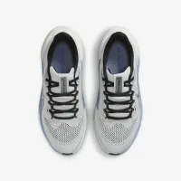 Nike Pegasus 41 Big детские Road Running Кроссовки цвет серый