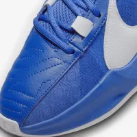 Nike Giannis Freak 5 баскетбольные Кроссовки синий