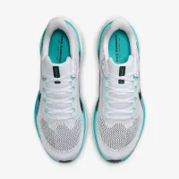 Nike Pegasus 41 мужские Road Running Кроссовки цвет белый