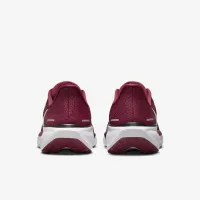 Morehouse Pegasus 41 мужские Nike College Road Running Кроссовки цвет красный