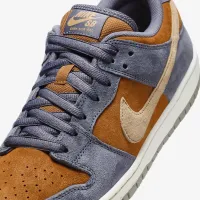 Nike SB Dunk Low Pro Skate Кросівки колір сірий